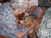 compagnia cani aiuta anziani