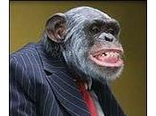 Esseri umani invecchiano come scimpanzè gorilla