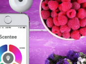 Scentee Diffusore profumo smartphone