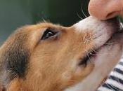 speciale legame cane padrone. dice anche l’ossitocina.