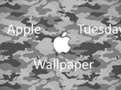 Magic Tuesday Wallpaper sfondi iPhone iPad!