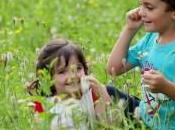 Turismo, oltre degli albergatori italiani attenti alla tutela dell’ambiente