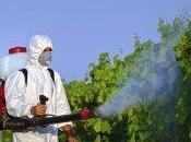 Pesticidi resistenza batteri agli antibiotici: quale legame?