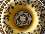 ciambella all'acqua