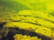 Trovato relitto nave Finlandia