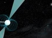 pulsar binaria l’orbita larga
