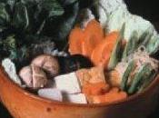 Fonduta tofu, verdure spaghetti riso