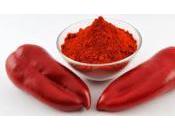 Salsa allo yogurt piccante