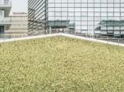 “Verde Contemporaneo”: mostra fotografica Daniele Cametti Aspri