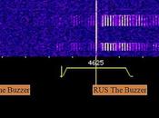 L’enigma UVB-76, stazione radio russa trasmette messaggi codice 1970