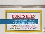 Burt's Bees Intense Hydration Night Cream Review