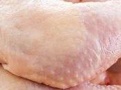 TTIP: polli antibiotici candeggina arrivo sulle nostre tavole?