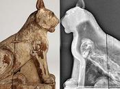 fabbrica egizia delle "reliquie" animali