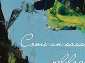 Recensione libro “Come sasso lago” Maria Fedele