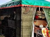 vincerà bando cocomerari Municipio? Indovinate po'...