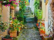 Provence fleur