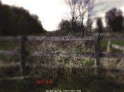 Spanish Donkey Raoul