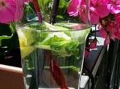 Ghiaccio ricco insaporire vostra acqua senza rinunciare alla linea....cetriolo, menta limone