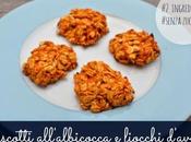 Biscotti all’albicocca fiocchi d’avena