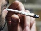 Droga: europeo quattro l’ha provata, milioni persone. Italia sequestro marijuana