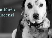 [Recensione] "Testimone cane altri racconti" Bonifacio Vincenzi