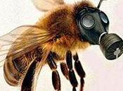 Potrebbe esistere mondo senza api?