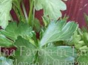 Risotto allo zafferano piselli gamberi: solo loro!