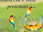 peccato l'idea trovi solo parte pieno. Parte