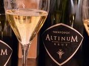 Vegan Wine Aldeno Walter Miori