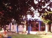 PAVIA. Comune annuncia domani disinfestazione parassiti rinvenuti presso scuola Castiglioni