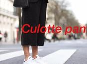 Trends Primavera Estate 2015 Culotte pants