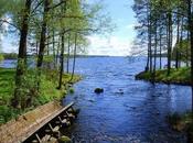Finlandia paesaggi: verde natura circonda lago Saimaa