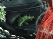 SEGNALAZIONE Lucertola Dalla Pelle Donna (Moon Witch Episodio Cristiano Fighera