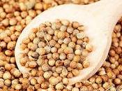 Oleolito alle spezie massaggio bagno