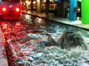 Video. Allagamento metro linea davvero colpa napoletani?