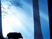Classifiche: giugno 2015