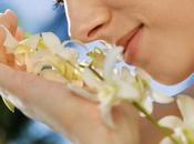 essenziali, assorbimento