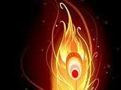 SEGNALAZIONE Araba Fenice Michele Sbriscia