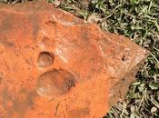 Trovata un'impronta umana Vindolanda