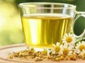 Camomilla, tazza giorno allungare vita