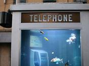 Cabine telefoniche, francia decorano acquario
