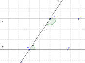 Dimostrazioni geometria svolte (rette parallele; angoli coniugati interni)