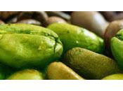 Acido clorogenico: vantaggi svantaggi