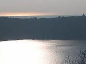 ITALICA NOIR regno delle mosche