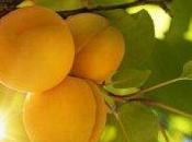 alimenti naturali un'abbronzatura perfetta