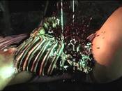 Mortal Kombat Predator Bundle Trailer informazioni