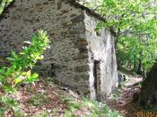 Escursioni Lago Como: Breglia Monti Lariani