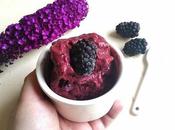Gelato alle more pronto minuti senza gelatiera