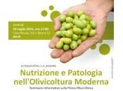 Goccia d’Oro organizza seminario “Nutrizione Patologia nell’Olivicoltura Moderna”