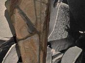 MAI, Πέτρα (Petra)